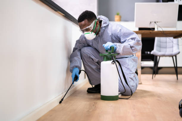 Best Residential Pest Control  in Anna, IL